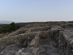 Yacimiento de la Almoloya 2023